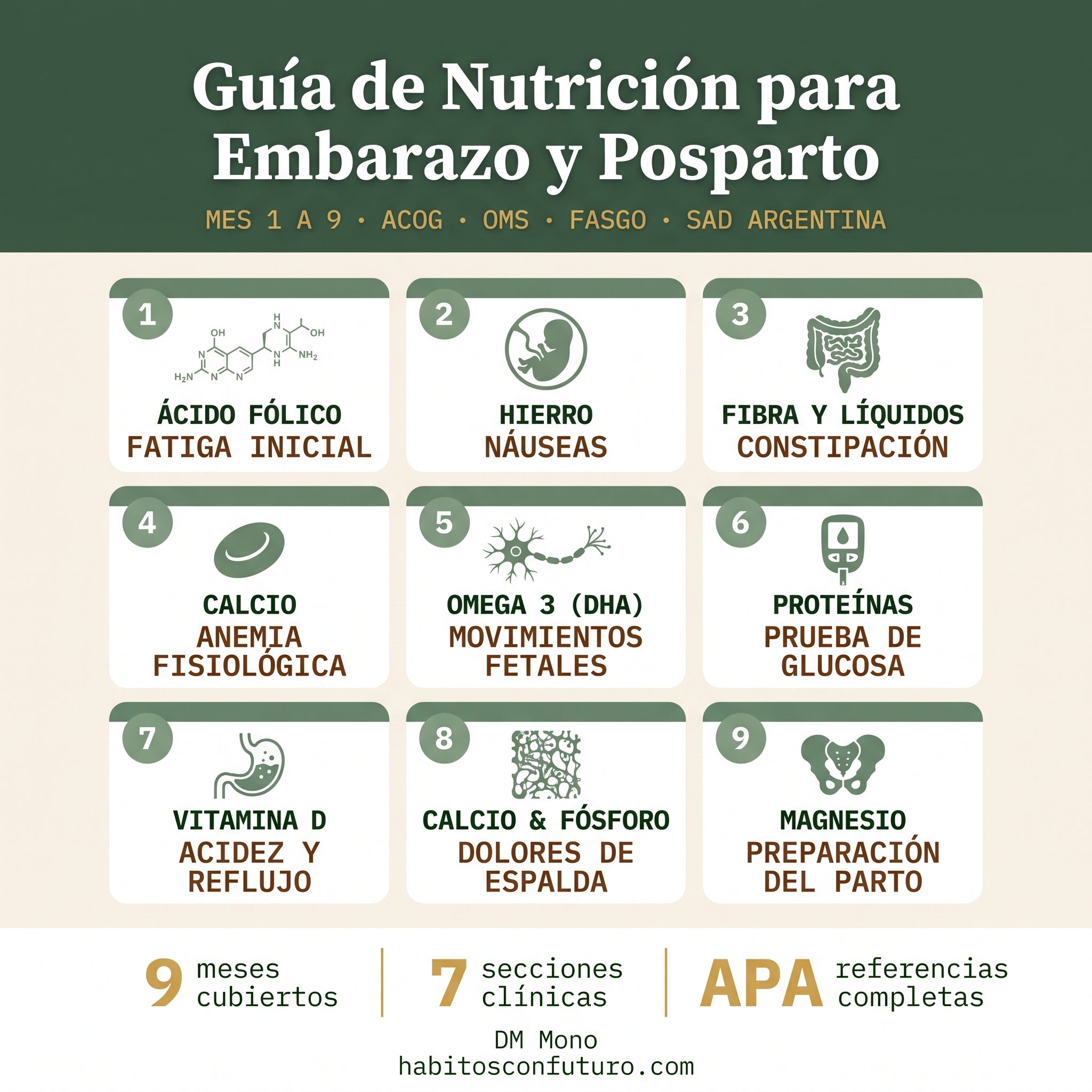 Guía de Nutrición en el Embarazo y Posparto — Recomendaciones basadas en evidencia para profesionales